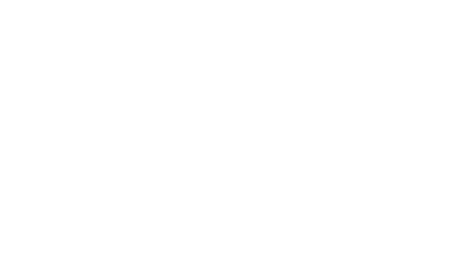 Aspen Institute